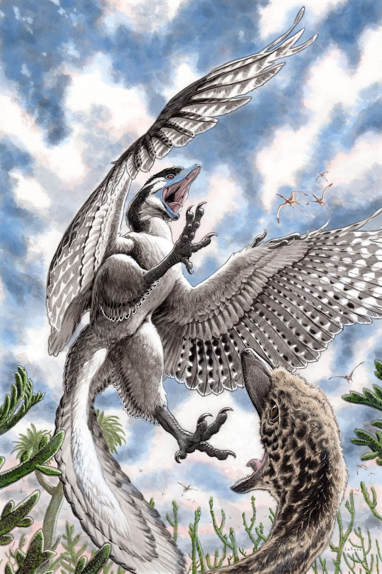 【原画】Archaeopteryx don't know the kimono. Archaeopteryx | Fictional Characters Wiki | Fandom