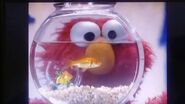 Elmo watching Dorothy from her fish bowl