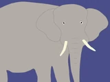 Elephant (KidsTV123)