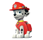Marshall PNG.png
