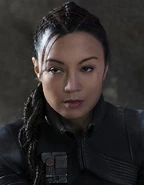 Fennec’s faces..jpg (208 KB)