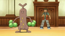 Brock Sudowoodo