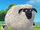 Sheep (Puppy dog Pals)