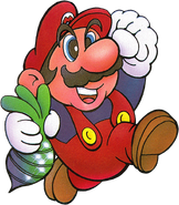 SMB2 - Mario cover artwork