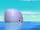 Baby Whale