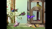 Barney & Friends Butterflies