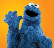 Cookie monster.jpg (15 KB)