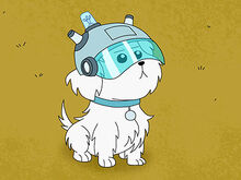 Snuffles-helmet