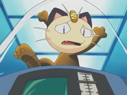 Meowth is Prisoner now.