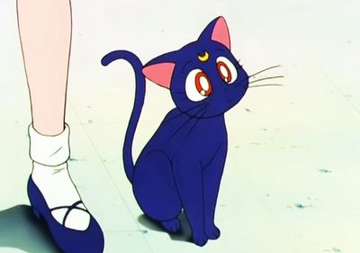 Luna (Sailor Moon), Fictional Characters Wiki