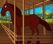Harry the Horse.png