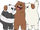 The Bears