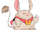 Dr. Hämsterviel
