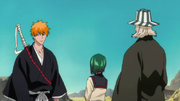 Bleach - Ichigo Kurosaki 97