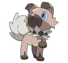 Rockruff.jpg