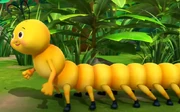 Caterpillar (LBB Junior)