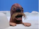 The Walrus