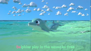 CoComelon Dolphins.png