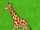 Giraffe (Dora the Explorer)