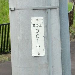 墹 字典 Wiki Fandom