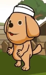 Muffin Songs Little Dog