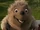 Penny (Over the Hedge)