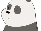 Panda Bear