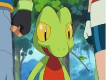 Treecko Ash's.jpg