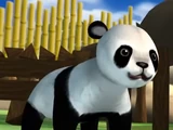 Panda (VinciGenius)