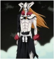 Bleach - Ichigo Kurosaki 79