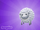 Sheep (Songzies)