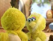 Bigbirdmirror