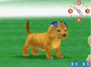 Nintendogs + Cats Aster