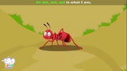 Appuseries Ant