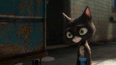 009 - Cat Inquiry 57 Mittens.png
