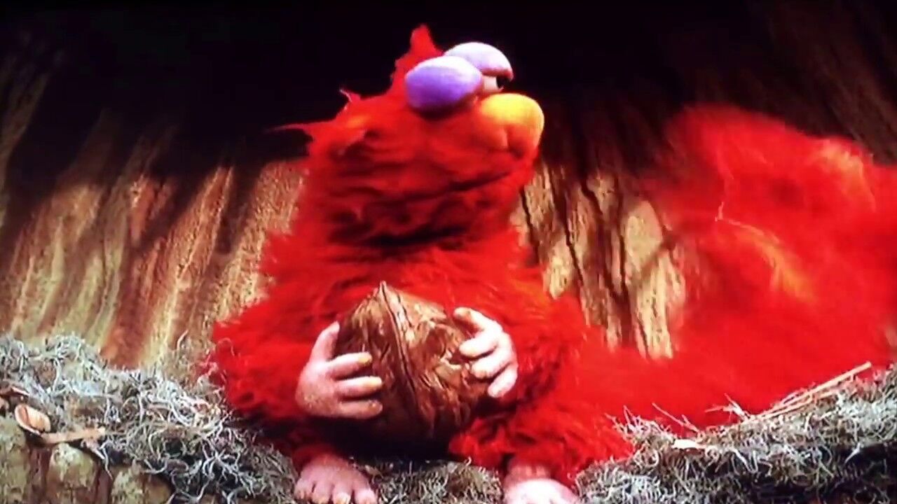 Elmo the Squirrel.jpg