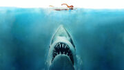Jaws.jpg