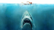 Jaws