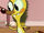 Bagel (The Bagel and Becky Show)