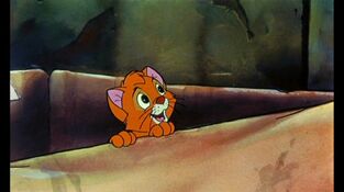 Oliverandcompany 0018.jpg