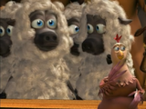 Sheep (Barnyard)