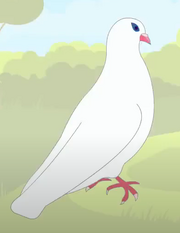 Dove.PNG