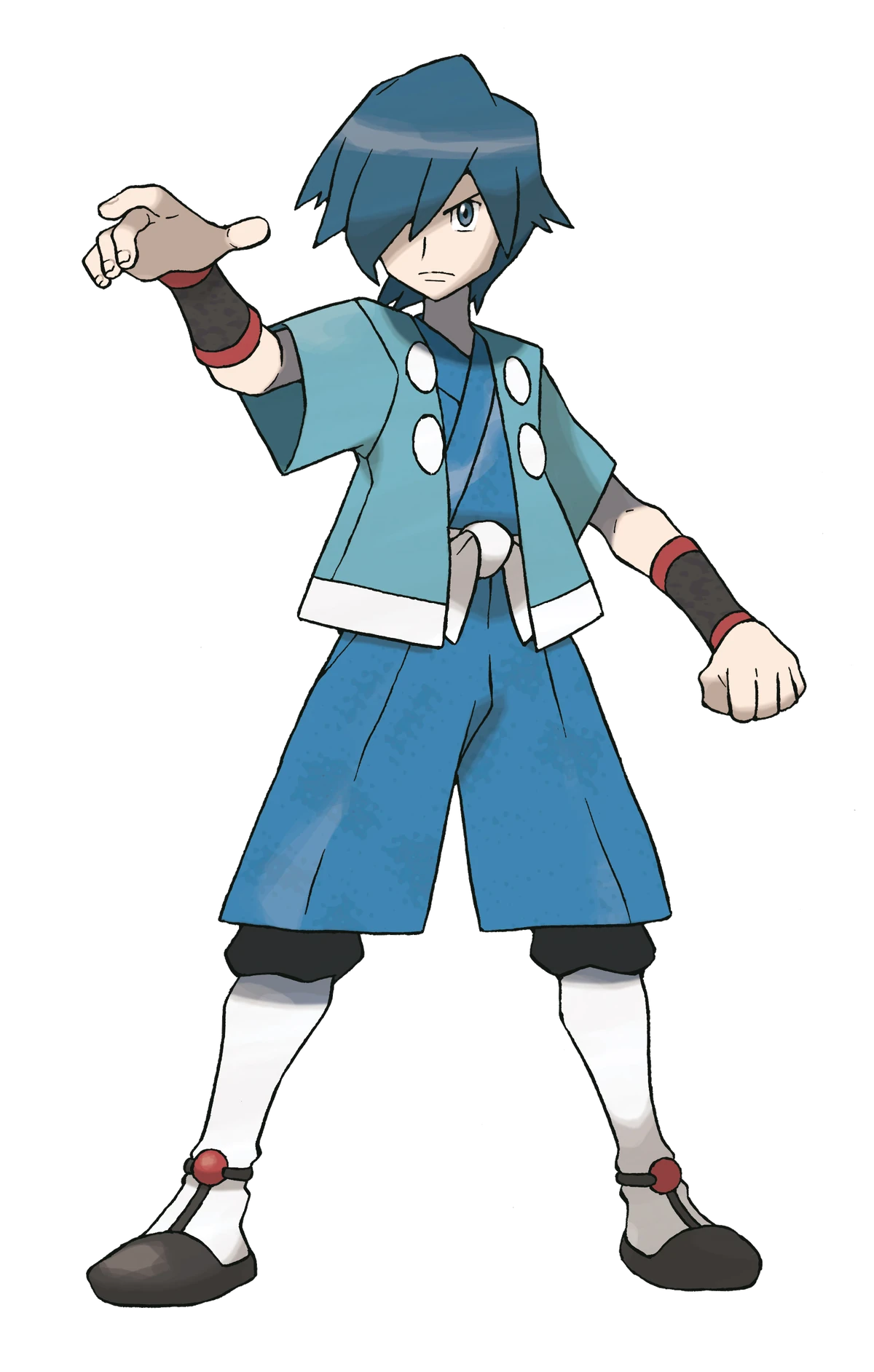 Falkner (Pokémon) Fictional Characters Wiki Fandom