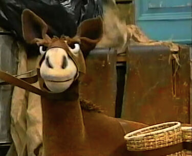 Iagothedonkey.jpg