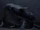 Nothosaurus