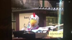 Information Hen.jpg