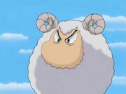 AmonSheep.jpg