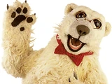 Jake the Polar Bear