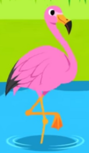 Pinkfong Flamingo