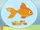 Goldfish